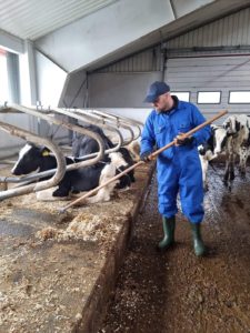 Mjölkbonde i ladugård